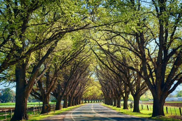 Office Cleaning Bacchus Marsh